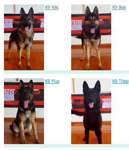 Police K9's For Sale